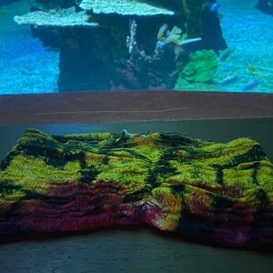 ON SALE~TIARE HAWAII BANDEAU TOP OR BIKINI TOP